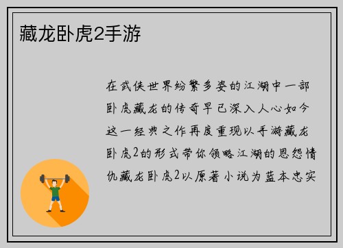 藏龙卧虎2手游